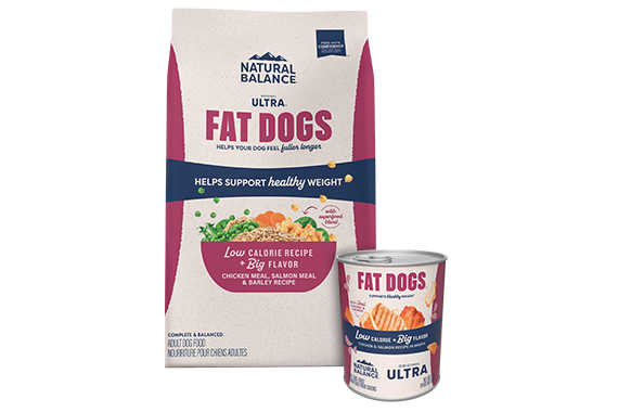 Fat Dogs