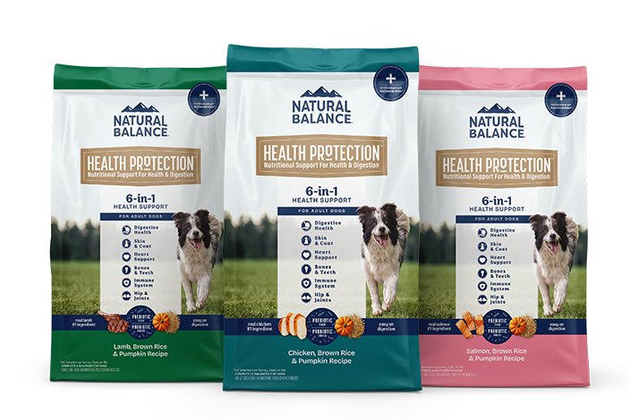 Natural balance high protein dog food best sale