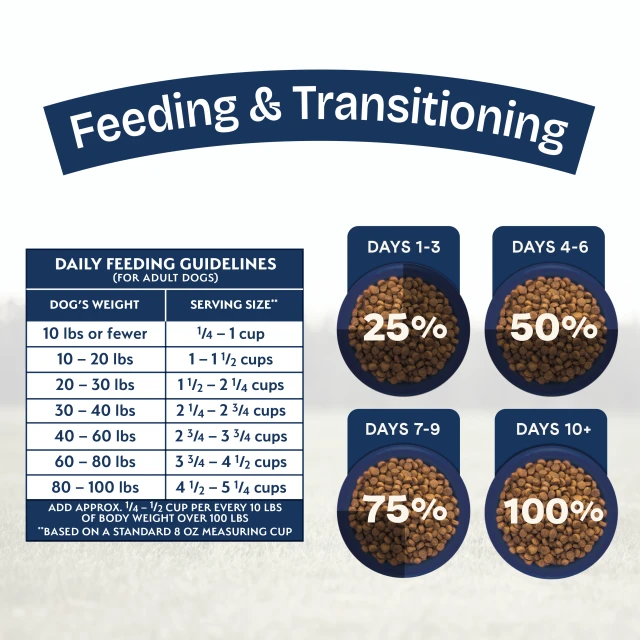 Feeding Guidelines