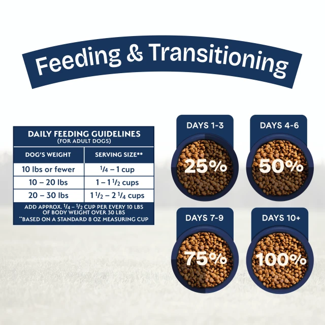 Feeding Guidelines