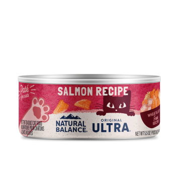 Salmon Recipe Paté