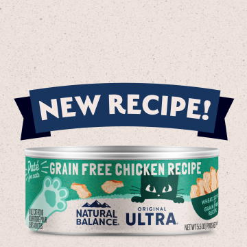 Grain Free Chicken Recipe Pat Natural Balance Pet Food Natural