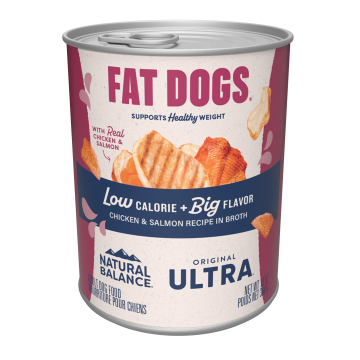 Chicken fat good for dogs hotsell